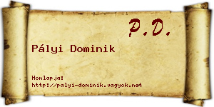 Pályi Dominik névjegykártya